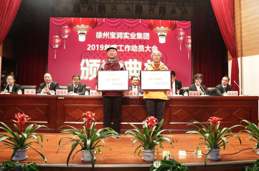 万搏网页版2019年度工作动员大会---集团公司领导为先进单位和先进个人代表颁奖